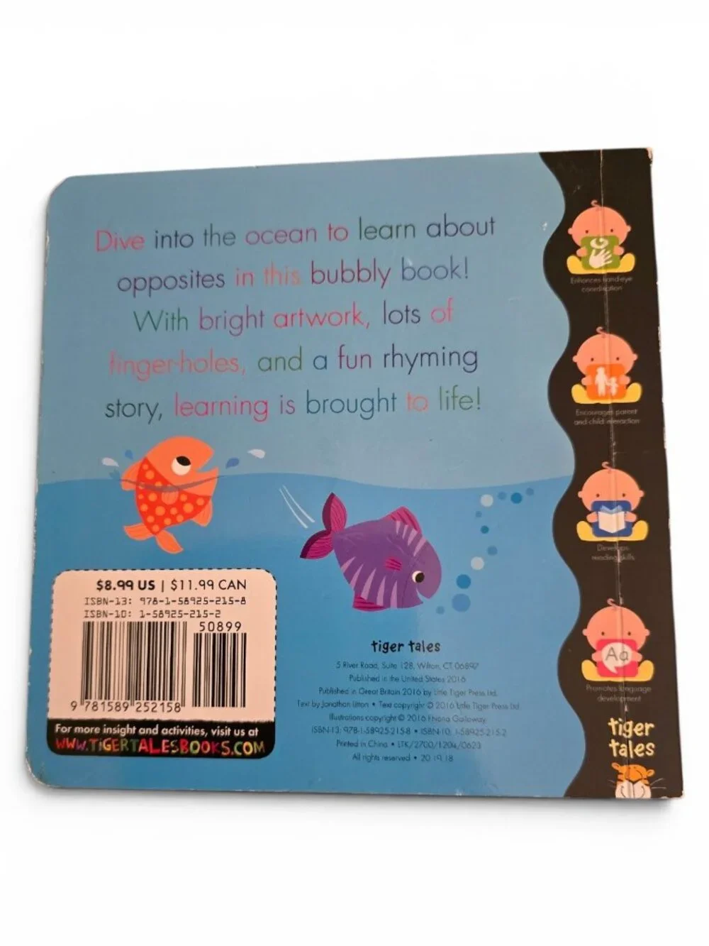 Interactive Toddler Board Book Lot 6 Usborne Touch Feel Never Touch Polar Bear
